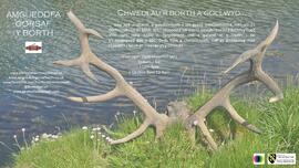 ‘Chwedlau’r Borth a Gollwyd’ poster