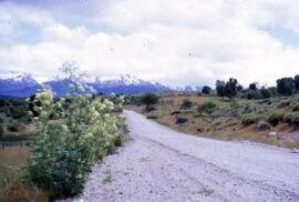 [Dirt road leading to mountains]