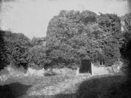 North Gate, Beaupre Castle, Cowbridge