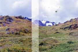 [Hills behind Ushuaia]