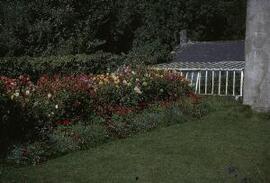 Pwllfanog [sic]