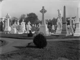 The New Cemetery, Cardiff