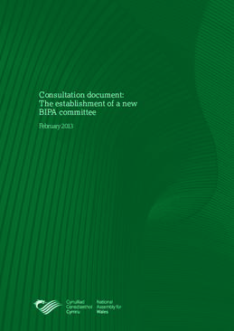 Consultation document: The establishment of a new BIPA committee