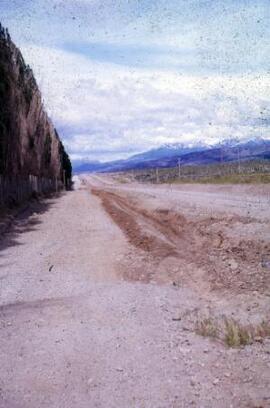 [Road lined with poplars along the left hand side]