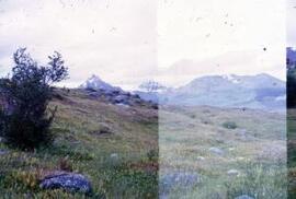 [Hills above Ushuaia III]