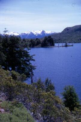 [Lake & mountains, Los Alerces]
