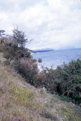 [Coastline, Tierra del Fuego]