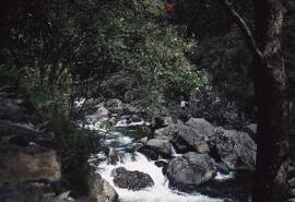 [Fast Flowing Stream]