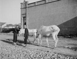 [Two men with horses]