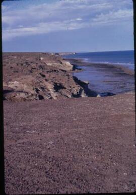[Coastline, Puerto Madryn]