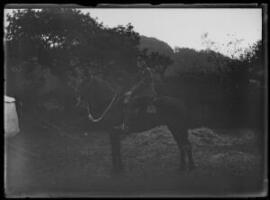 [Mounted soldier from the Pembroke Yeomanry]