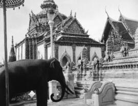 [Temple & Elephant sculpture]