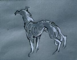 [Whippet, rear view]