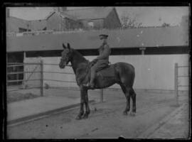 [Pembroke Yeoman on Horseback, Llandeilo #1]